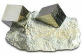 Three Gleaming Pyrite Cubes In Rock - Navajun, Spain #361774-1